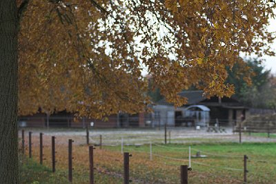 IMG_1600-01.jpg - Der Hof im Herbst