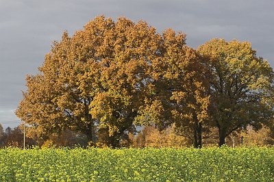 IMG_1712-01.jpg - Ausblick von der Weide