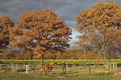 IMG_1838-01.jpg - Der alte Roundpen