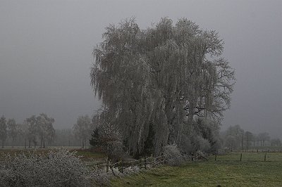IMG_3140-01.jpg - Am Mittelweg im Winter