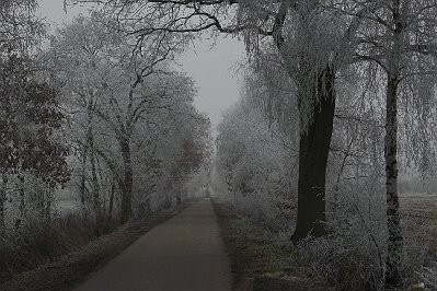 IMG_3145-01.jpg - Der Mittelweg im Winter