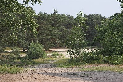 IMG_8662-01.jpg - Steller Heide