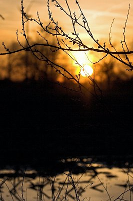 IMG_8819-01.jpg - Sonnenuntergang am Hof