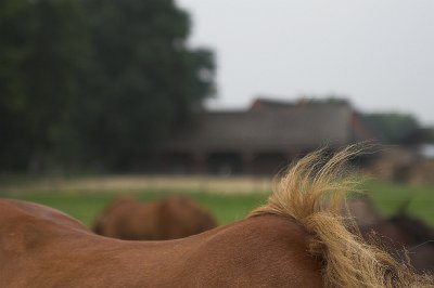 IMG_8834-01.jpg - Blick von der Weide auf den Hof