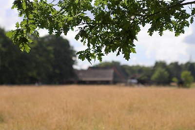 IMG_9491.jpg - Hof