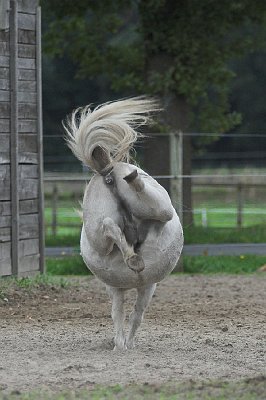 IMG_9492-01.jpg - Fani - und tschüß ...