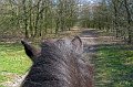 IMG_0662