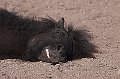 IMG_1411-01