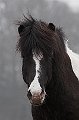 IMG_1443-01