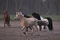 IMG_1586-01