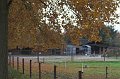 IMG_1600-01