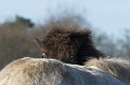 IMG_1783-01
