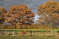 IMG_1838-01