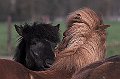 IMG_1838-02