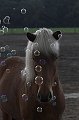 IMG_1967-01