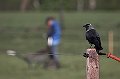 IMG_1996-01