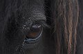 IMG_2368-01