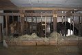 IMG_2673-01