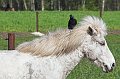 IMG_2722-01