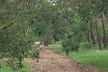 IMG_8686-01