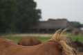 IMG_8834-01