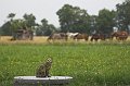 IMG_8839-01