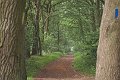 IMG_8907-01