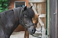 IMG_9255-01