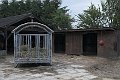 IMG_9436-01