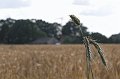 IMG_9502-01