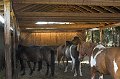 IMG_9549-01