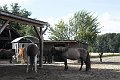 IMG_9586-01