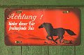 IMG_9633-01