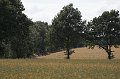 IMG_9848-01