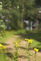 IMG_9873-01