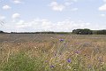 IMG_9881-01